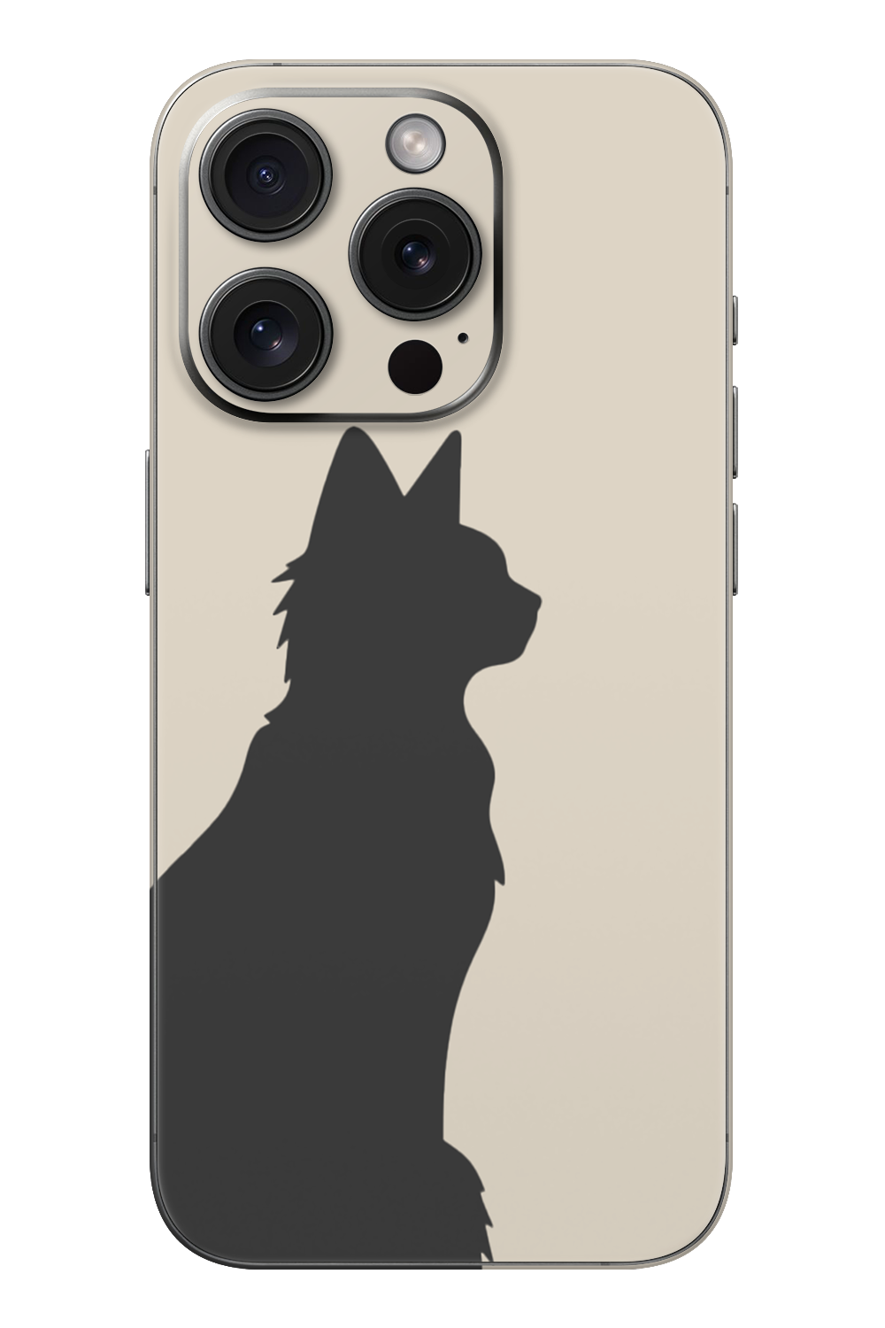 Skin iPhone - СОЛ & ПИПЕР