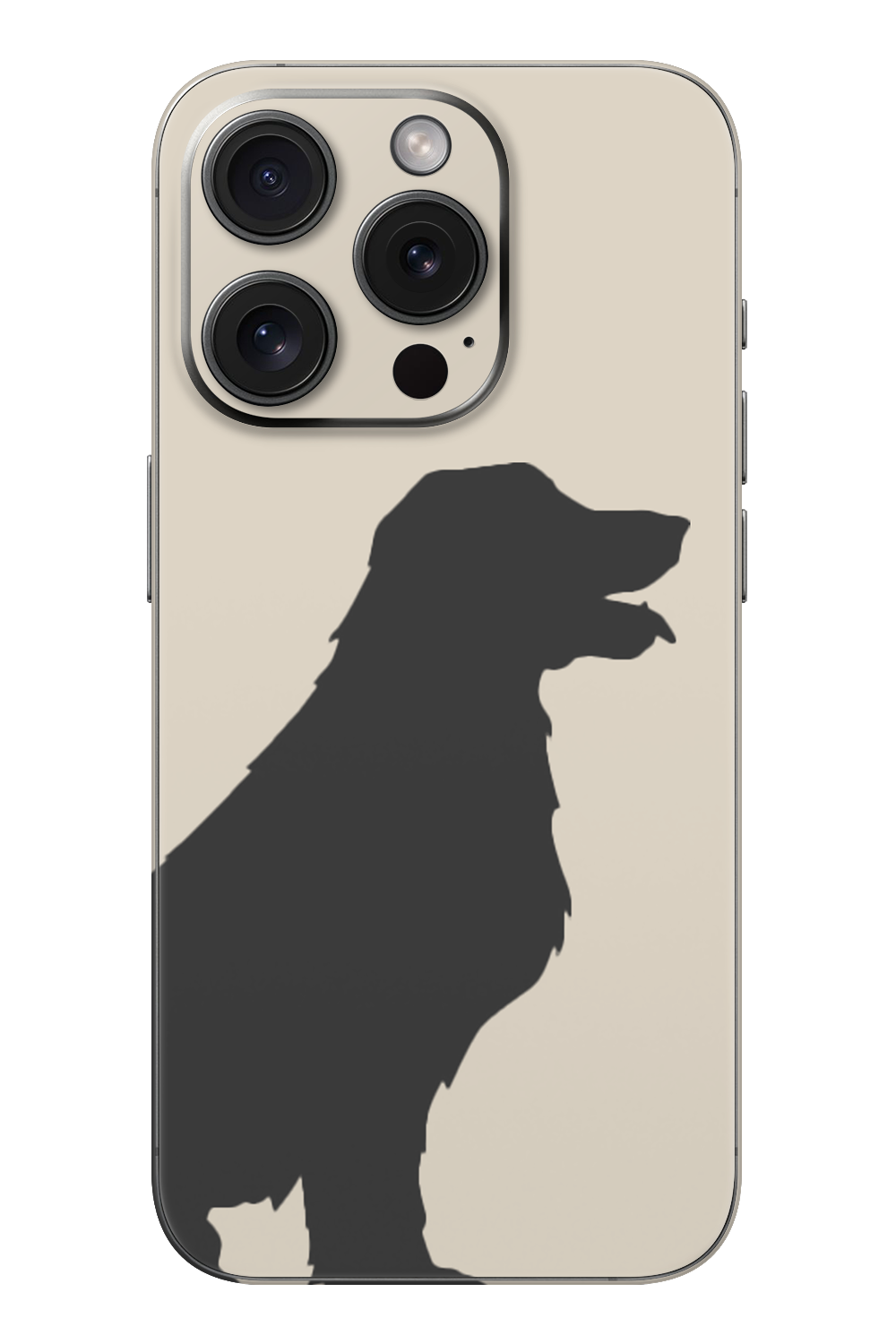 Skin iPhone - СОЛ & ПИПЕР