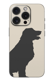 Skin iPhone - СОЛ & ПИПЕР